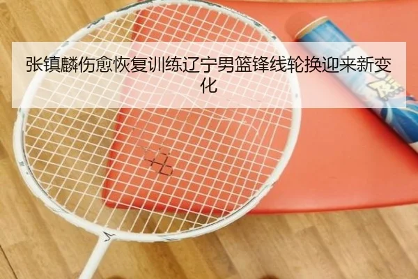 张镇麟伤愈恢复训练辽宁男篮锋线轮换迎来新变化