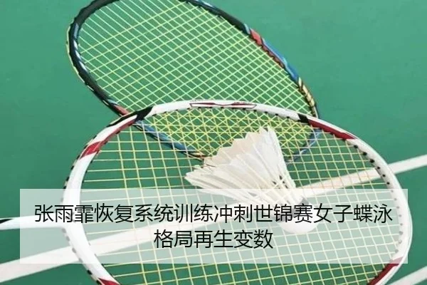张雨霏恢复系统训练冲刺世锦赛女子蝶泳格局再生变数